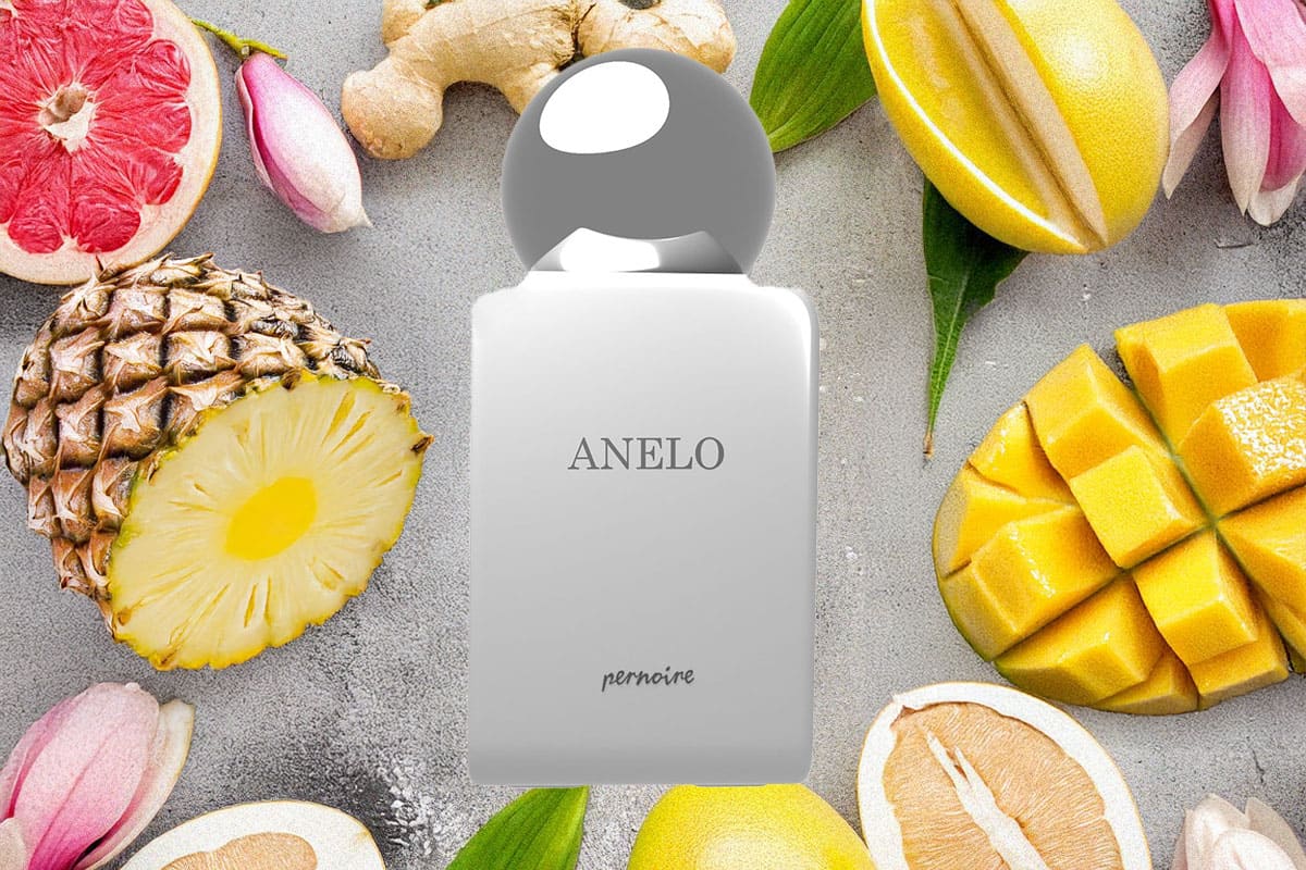 pernoire Anelo 